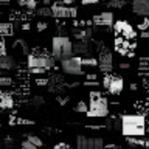 Meet your Posher, Ashton